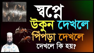 স্বপ্নে উকুন দেখলে কি হয়স্বপ্নে পিঁপড়া দেখলে কি হয়Shopne ukon dekhle ki hoy  sopne pipra dekhle [upl. by Dedra]