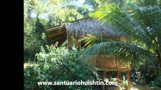 Ayahuasca Retreat Center Santuario Huishtin  Pucallpa [upl. by Edan320]