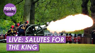 LIVE Gun Salutes Ring in Green Park to Mark King’s 76th Birthday [upl. by Etnaed127]