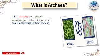 what is archaea archaea microbiology raqbamicrohub [upl. by Grae708]