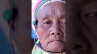 Why Do the Padang Tribe Have Long Necks Discover the Mystery facts viralshort youtube [upl. by Janeen]