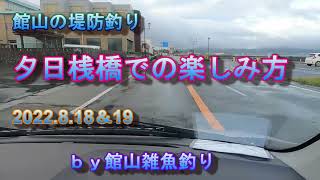 館山の堤防釣り 夕日桟橋での楽しみ方 2022819 ｂｙ館山雑魚釣り [upl. by Norvil310]