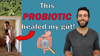 E Coli Nissle 1917  What makes this miracle probiotic so special Part 2 [upl. by Ynogoham]