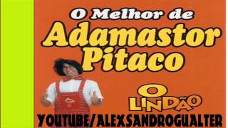 1 hora de adamastor pitaco os melhores sucessos [upl. by Dalia671]