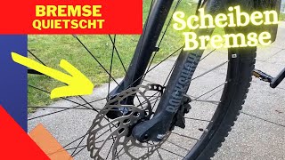 Scheibenbremsen Fahrrad quietschen  Alleine reparieren [upl. by Eelanej587]