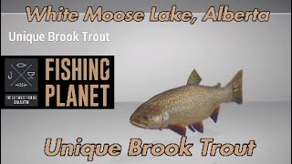 Unique Brook Trout  White Moose Lake Alberta  Fishing Planet Guide [upl. by Teews]