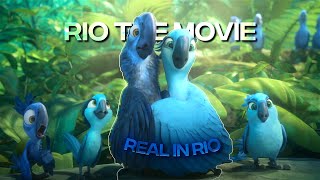 4K Rio「Edit」Real in Rio [upl. by Sito]