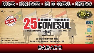 25º Rodeio Crioulo Internacional do Conesul  Santa MariaRS  Sábado 09032019 [upl. by Dardani630]