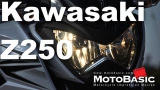 Z250 Kawasaki2013 外観と排気音 Kawasaki NEW Z250 2013 STYLING amp DETAIL [upl. by Relyc]