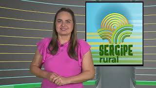 SERGIPE RURAL  PROGRAMA 482 [upl. by Trella419]