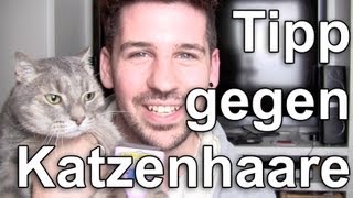 Katzen amp Hunde Haare Verhindern FURMINATOR [upl. by Yelsgnik99]