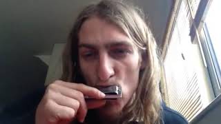 HOW TO PLAY LITTLE WALTERS JUKE WILL WILDE HARMONICA [upl. by Anileba292]