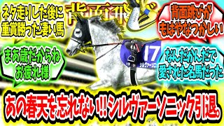 『あの背面飛びを俺たちは忘れない‼シルヴァーソニック引退。』に対するみんなの反応【競馬の反応集】 [upl. by Ateekan852]