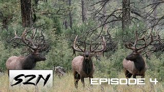 GIANT BULL ELK FIGHT Bugle at 25 yds  HUNTING PUBLIC LAND DIY [upl. by Rehteh]