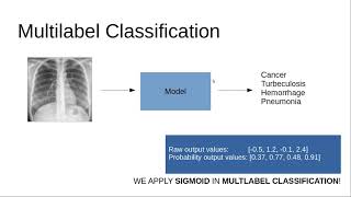 Multiclass Classification vs Multilabel Classification vs Multitask Learning [upl. by Asillam]