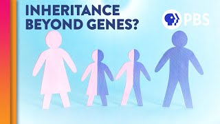 Is Epigenetic Inheritance Real [upl. by Lipkin652]