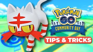 How to DOMINATE Litten Community Day in Pokémon GO [upl. by Oirram]