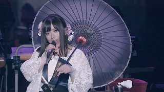 Wagakki Band  吉原ラメント Yoshiwara Lament  Premium Symphonic Night Vol2 ENG SUB CC [upl. by Ghassan556]