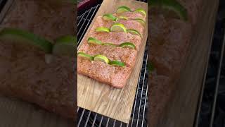 Lachs von der Planke  Fisch grillen Rezept  Die Frau am Grill [upl. by Eeclehc]