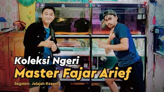 Review Koleksi Channa Fajar Arief [upl. by Maje]