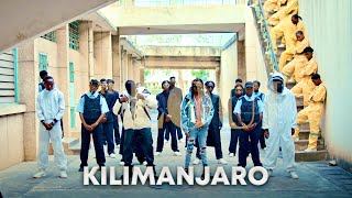 Dogo Janja amp Loui  Kilimanjaro Official Music Video [upl. by Arved]