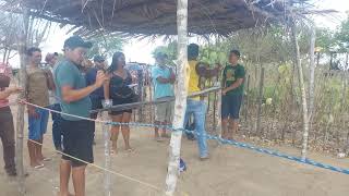 3°FASE TORNEIO DE PETECA NO SÍTIO BIGODE EM CUSTÓDIA PERNAMBUCO BRASIL [upl. by Asira900]