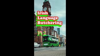 Why the Irish Language is More Important Than Ever ireland irelandvlogs [upl. by Nylehtak]