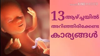 What to expect in 13 week pregnancy in malayalam [upl. by Adnoraj817]