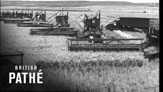 Wheat Harvest USA 1947 [upl. by Gebhardt]