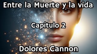 AUDIOLIBRO  Entre la Muerte y la Vida  Capitulo 2  DOLORES CANNON [upl. by Ardnohsal]