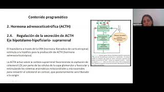 FARMACOLOGÍA ESTEROIDES ANTIINFLAMATORIOS [upl. by Naneek]