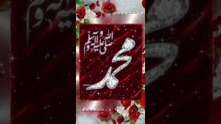 Muhammad nabina naat shortsfeed naat muhammad nabi islamicshorts trending Muslimgirlkxj [upl. by Asereht]