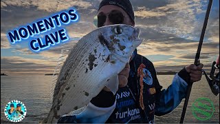 🔥🐟CLAVES🧭 PARA PESCAR DORADAS🐟🔥 SURFCASTING EN MALLORCA🏝️ [upl. by Araiet]