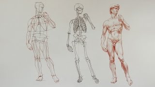 How to Draw a Man  Anatomy Master Class [upl. by Higgins]