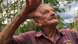 A 7 años del huracán María Sabiduría campesina en tiempos del huracán María en Puerto Rico [upl. by Niatirb167]