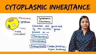 Cytoplasmic inheritance  Maternal Inheritance  Maternal Effect [upl. by Drofnelg]