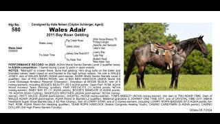 Pitzer Ranch Fall Sale 2024 Lot 580 WALES ADAIR [upl. by Nicolau224]