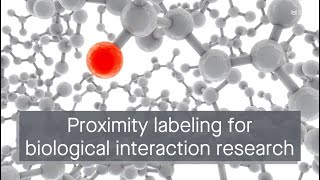 Proximity labeling A revolutionary technique for studying biological interactions [upl. by Calbert893]