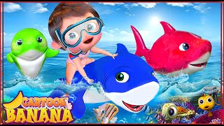 Baby shark doo doo doo  Baby songs  Nursery Rhymes amp Kids Songs  Banana Cartoon [upl. by Saihtam846]