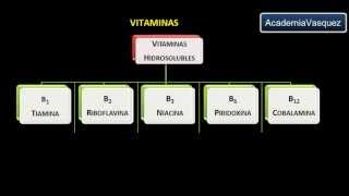 Vitaminas Historia Estructura y Clasificación [upl. by Onirefes]