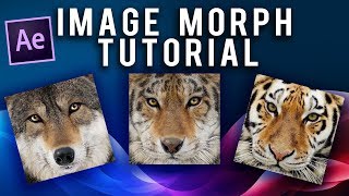 Morph Effect in After Effects no plugins [upl. by Voletta]