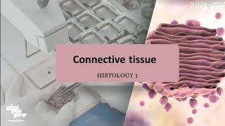 CONNECTIVE TISSUE  Histology 1  Lec 4 [upl. by Anoit891]