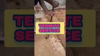 Pest control services termite cockroach chennai home commercial [upl. by Willa987]