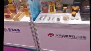 Canton Fair October 2016  Phase 3  Guangzhou China [upl. by Bega345]