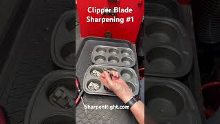 Clipper Blade Sharpening 1 sharpening clipperblades [upl. by Zaneta]