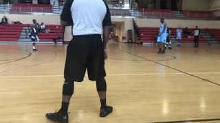 Empire State Basketball Vs Metropolitan AllStars 2019 APBL Regular Season Game [upl. by Jaycee888]