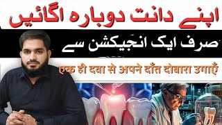 Regrow your teeth  اپنے دانت دوبارہ اگائیں  with single medicine in Urdu  Hindi drmuneermalik [upl. by Painter]