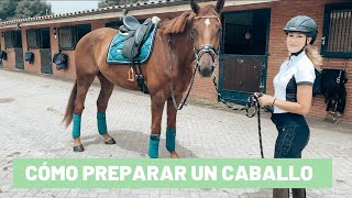 Cómo preparar un caballo  Tutorial [upl. by Ihskaneem]