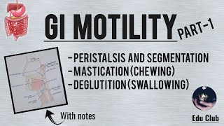 GI Motility Part  1  Chewing Reflex  Deglutition  Gastrointestinal Physiology [upl. by Nirrad]