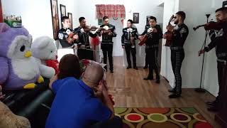 Serenata sorpresa de cumpleaños a mi esposa [upl. by Menon]